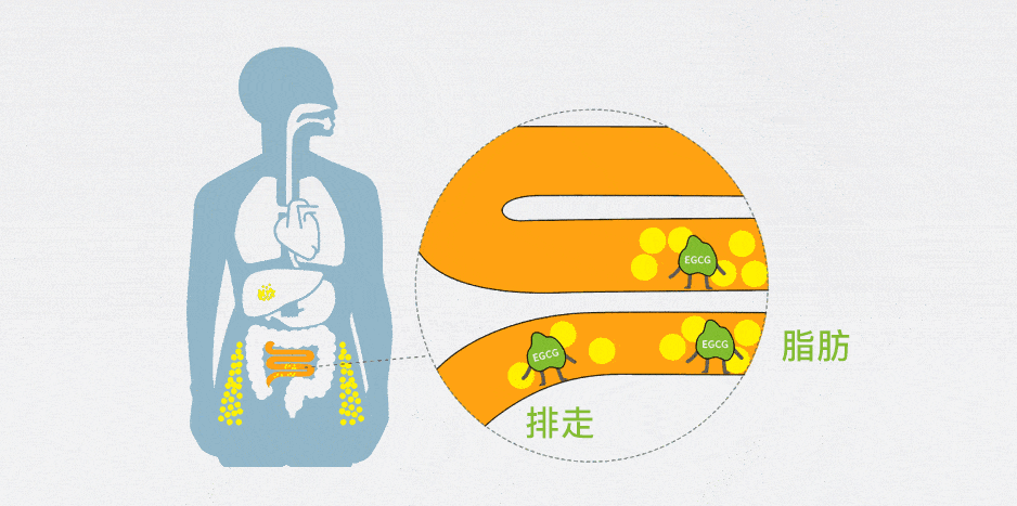 7d6a2146-98e1-4da8-8461-89f91ae768ec.gif