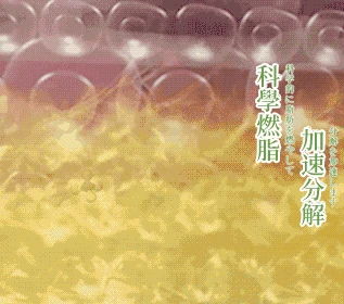 24.gif